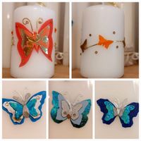 Workshop Schmetterlinge